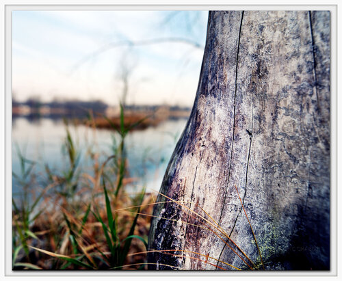 Monument von Eric Chabot, Fotografie kaufen auf Singulart