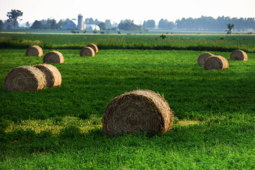 Hay day di Eric Chabot, Fotografia in vendita su Singulart