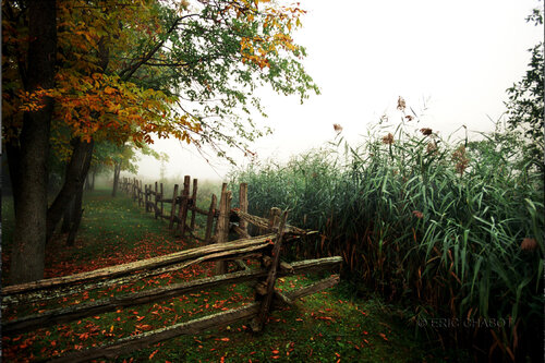 At the edge di Eric Chabot, Fotografia in vendita su Singulart