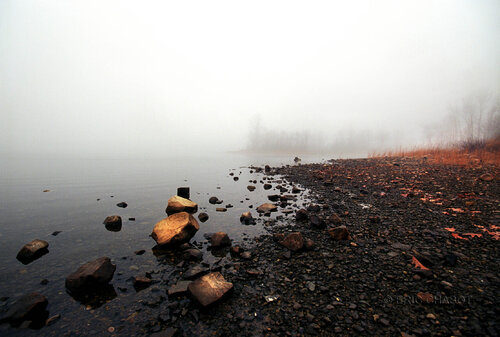 Foggy vision di Eric Chabot, Fotografia in vendita su Singulart