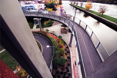 Black dog van Eric Chabot, Fotografie te koop op Singulart