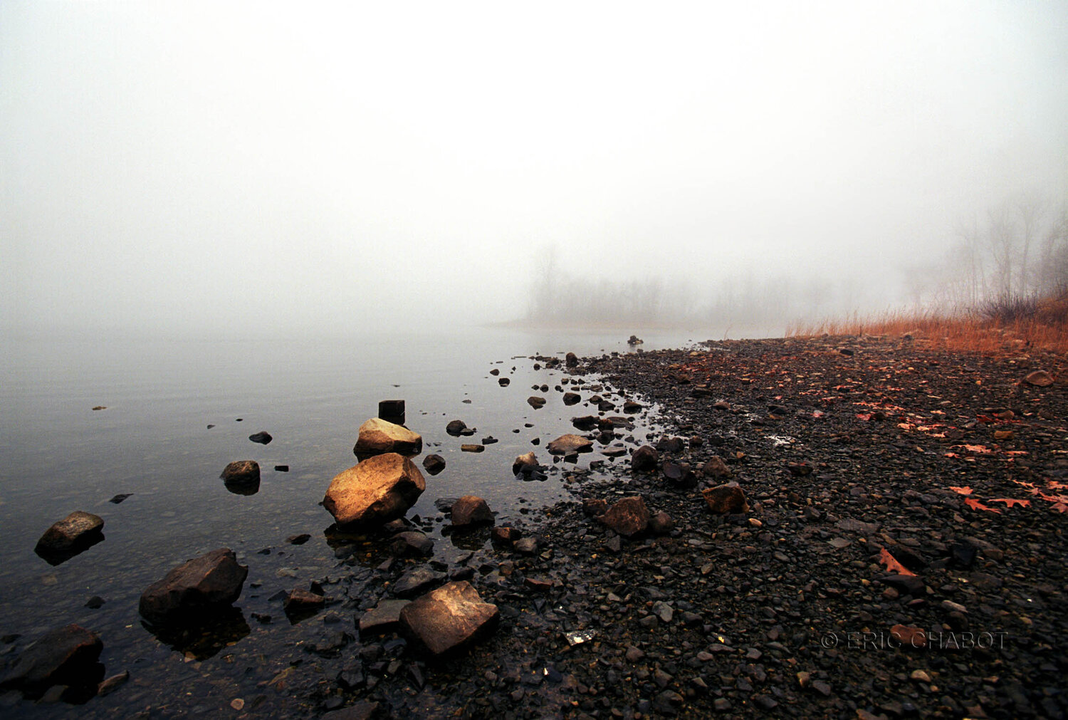 Foggy vision Eric Chabot