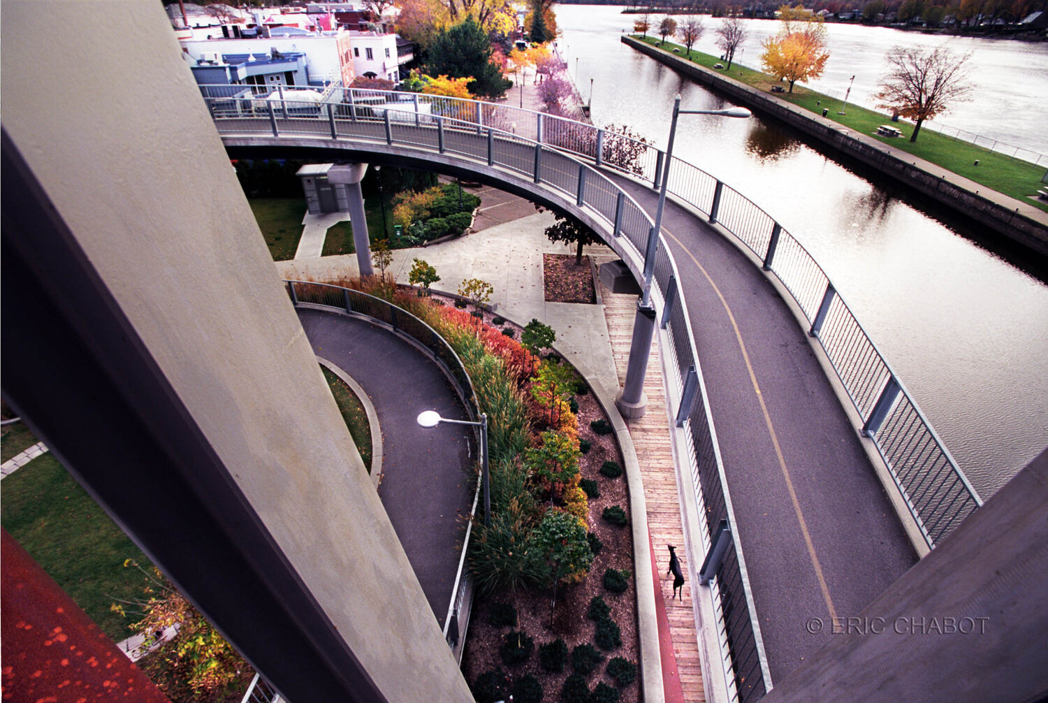 Black dog Eric Chabot