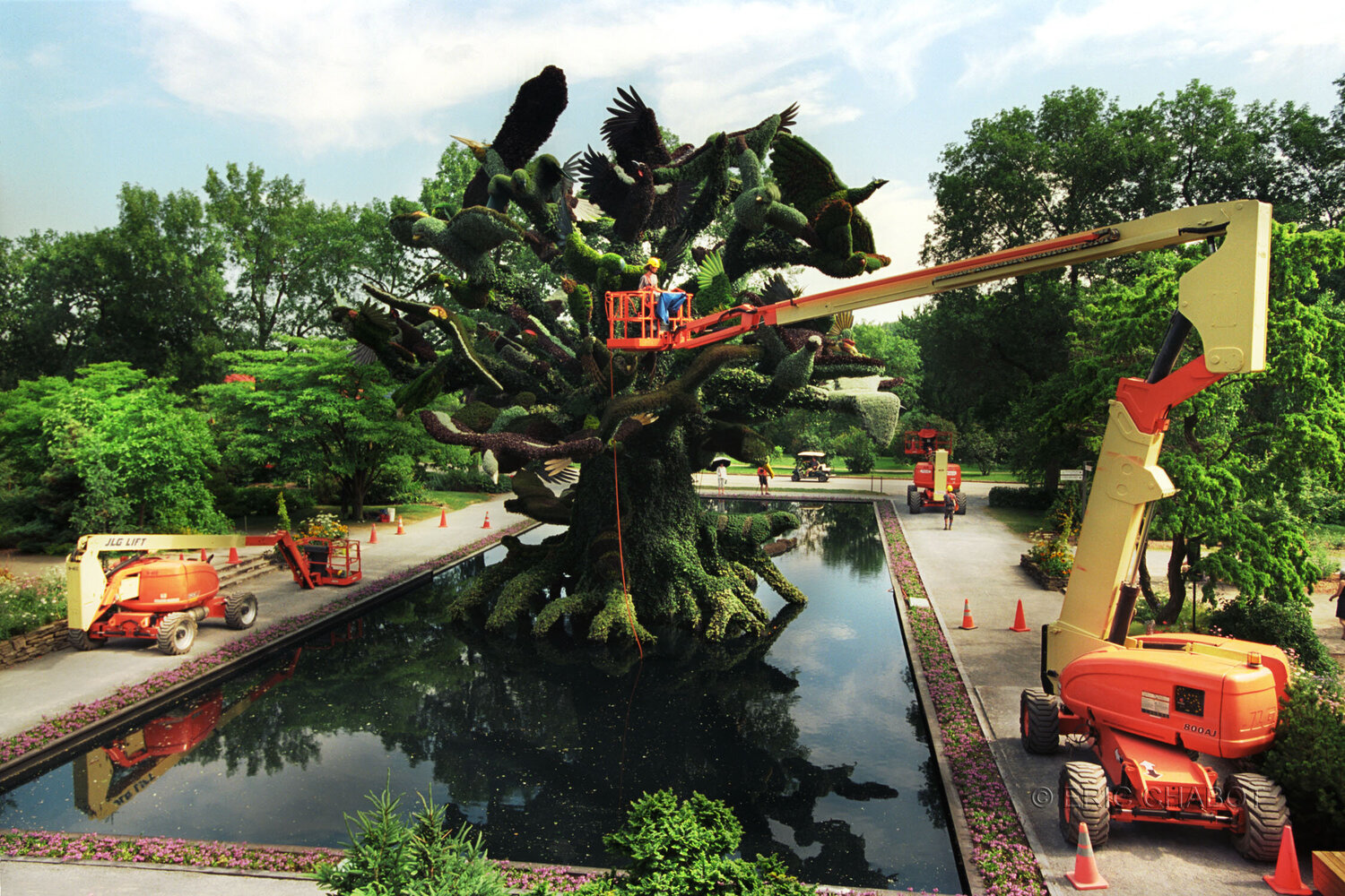 Tree keepers Eric Chabot