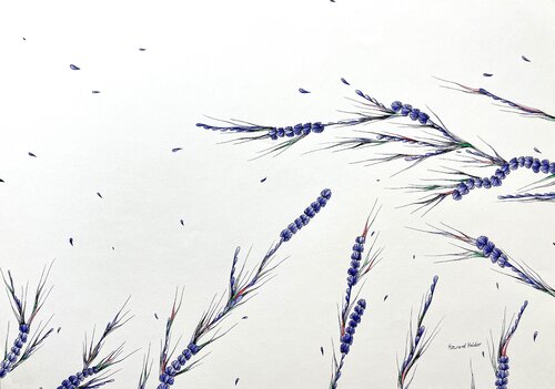 Blowing in the wind von Howard Holder, Zeichnungen kaufen auf Singulart