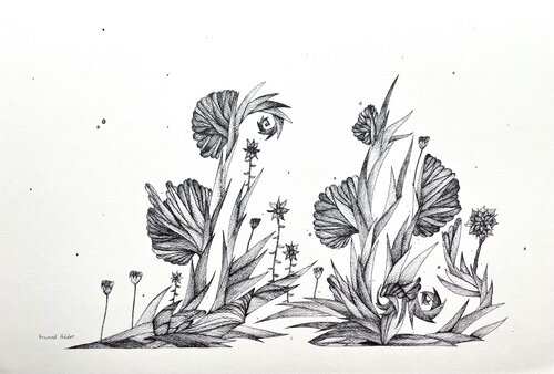 Dual Growth von Howard Holder, Werk auf Papier kaufen auf Singulart