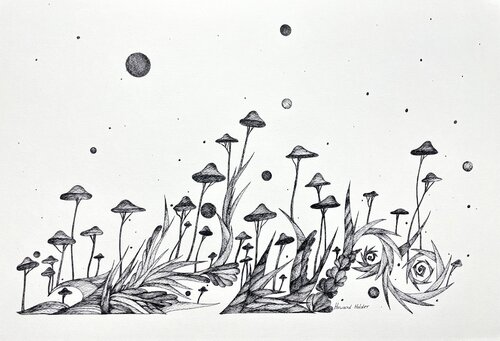 Sprouting Mushrooms von Howard Holder, Werk auf Papier kaufen auf Singulart