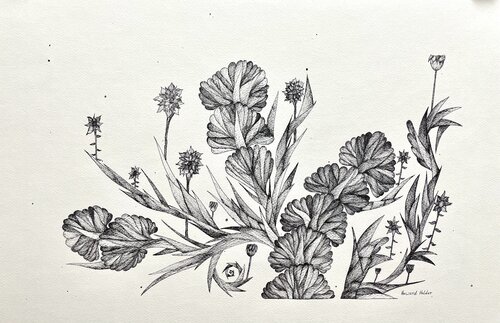 Apply some flowers von Howard Holder, Werk auf Papier kaufen auf Singulart