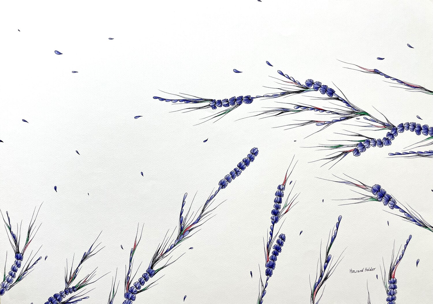 Blowing in the wind Howard Holder