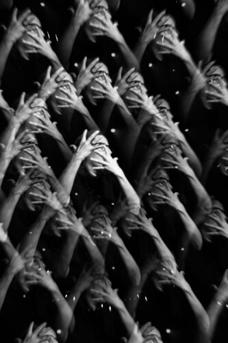 Le signe en chanson by Camille Brunelet, 사진 for Sale on Singulart