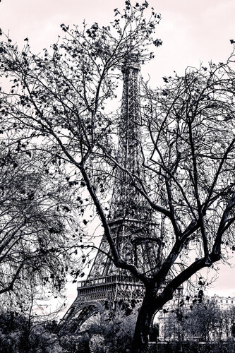 The Mysterious Tower by Camille Brunelet, 사진 for Sale on Singulart