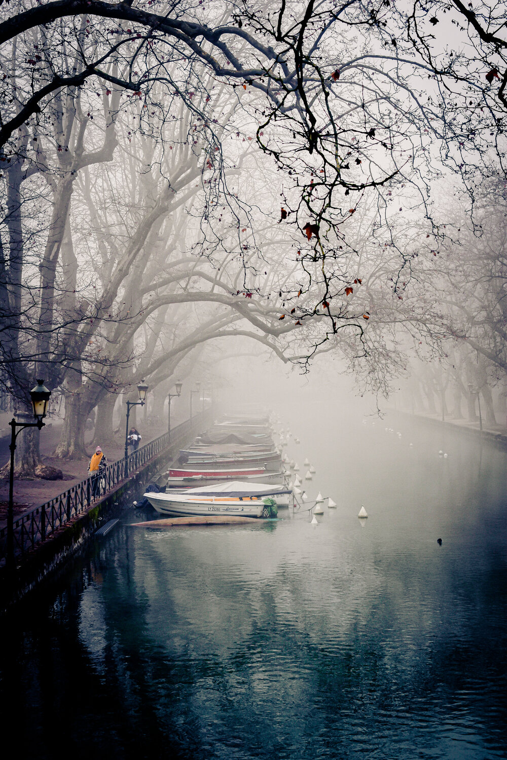 Dans la Brume Camille Brunelet