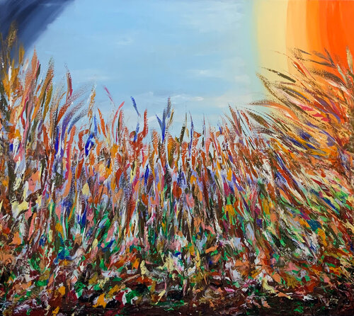 Bloom Season in a Field of Color Ayyad Ayyad