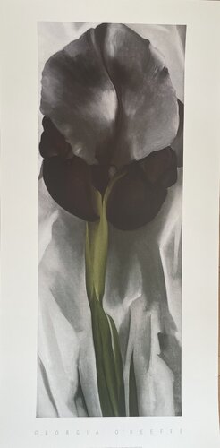 Georgia O’Keeffe (1887-1986), Dark Iris I, 1927, Copyright 1999- G.O’Keeffe/SOFAM Belgique editions  Pierre D’ Harville, Printed in Italy by Georgia O'Keeffe, Print for Sale on Singulart