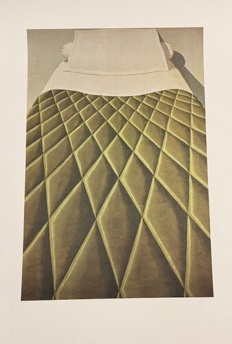 Domenico Gnoli (1933-1970), Green Bed Cover, 1969, copyright Marzia Gnoli, 1994, Printed in the Netherlands by Domenico Gnoli, Print for Sale on Singulart