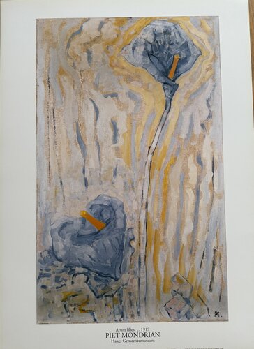 Piet Mondrian  (1872-1944), Aronskelken, ca. 1917, copyright 1996 ABC/Mondrian Estate...Printed in Holland #831 von Piet Mondrian, Druck kaufen auf Singulart