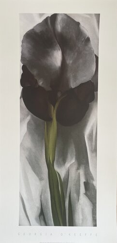 Georgia O’Keeffe (1887-1986), Dark Iris I, 1927, Copyright 1999- G.O’Keeffe/SOFAM Belgique editions  Pierre D’ Harville, Printed in Italy von Georgia O'Keeffe, Druck kaufen auf Singulart
