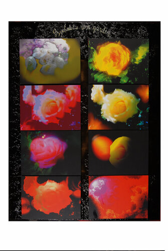 Psychedelic Rose Garden di umberto salmeri, Digitale in vendita su Singulart