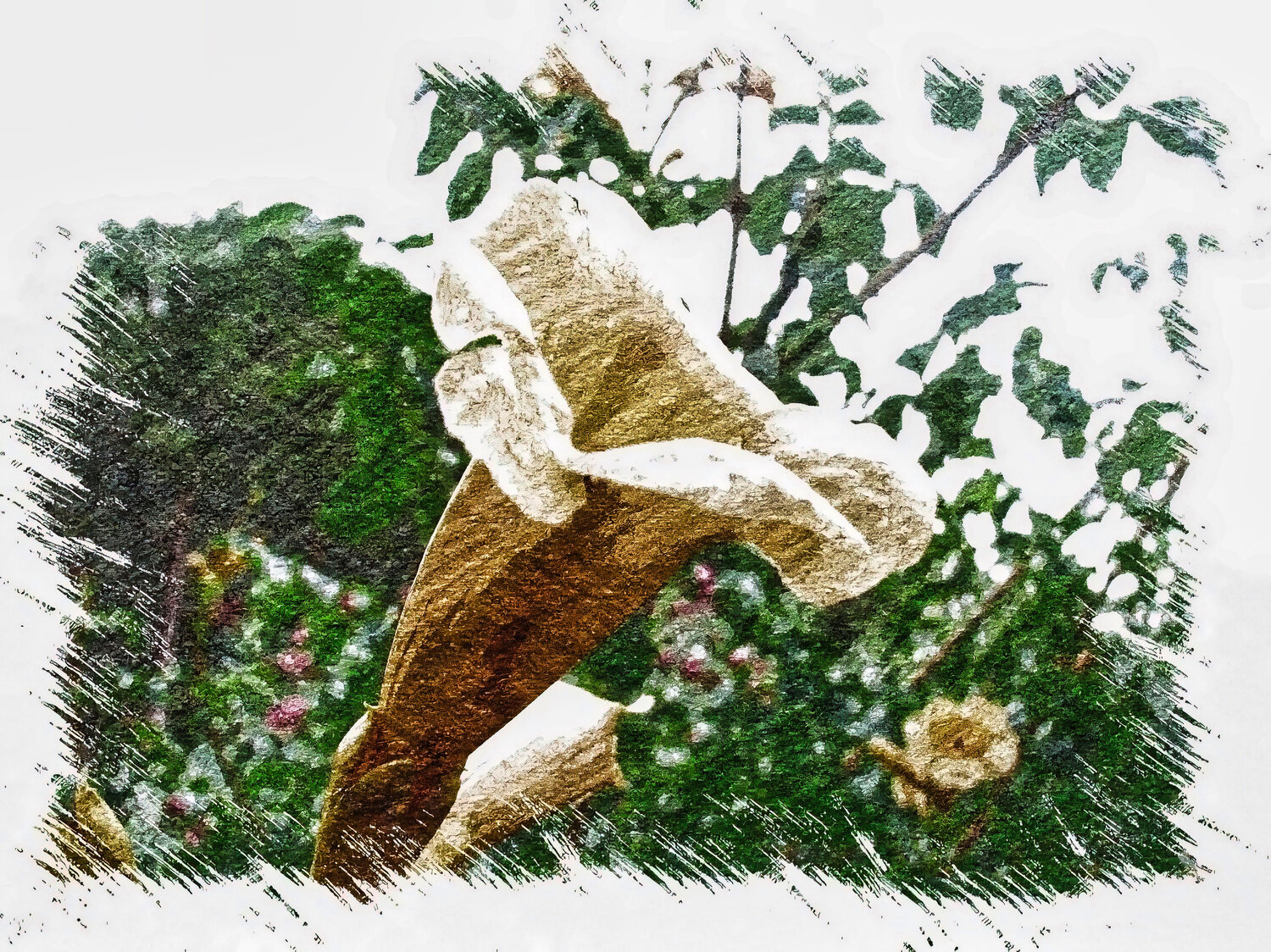 Campanula 29 agosto 2006 Carlo Iorio