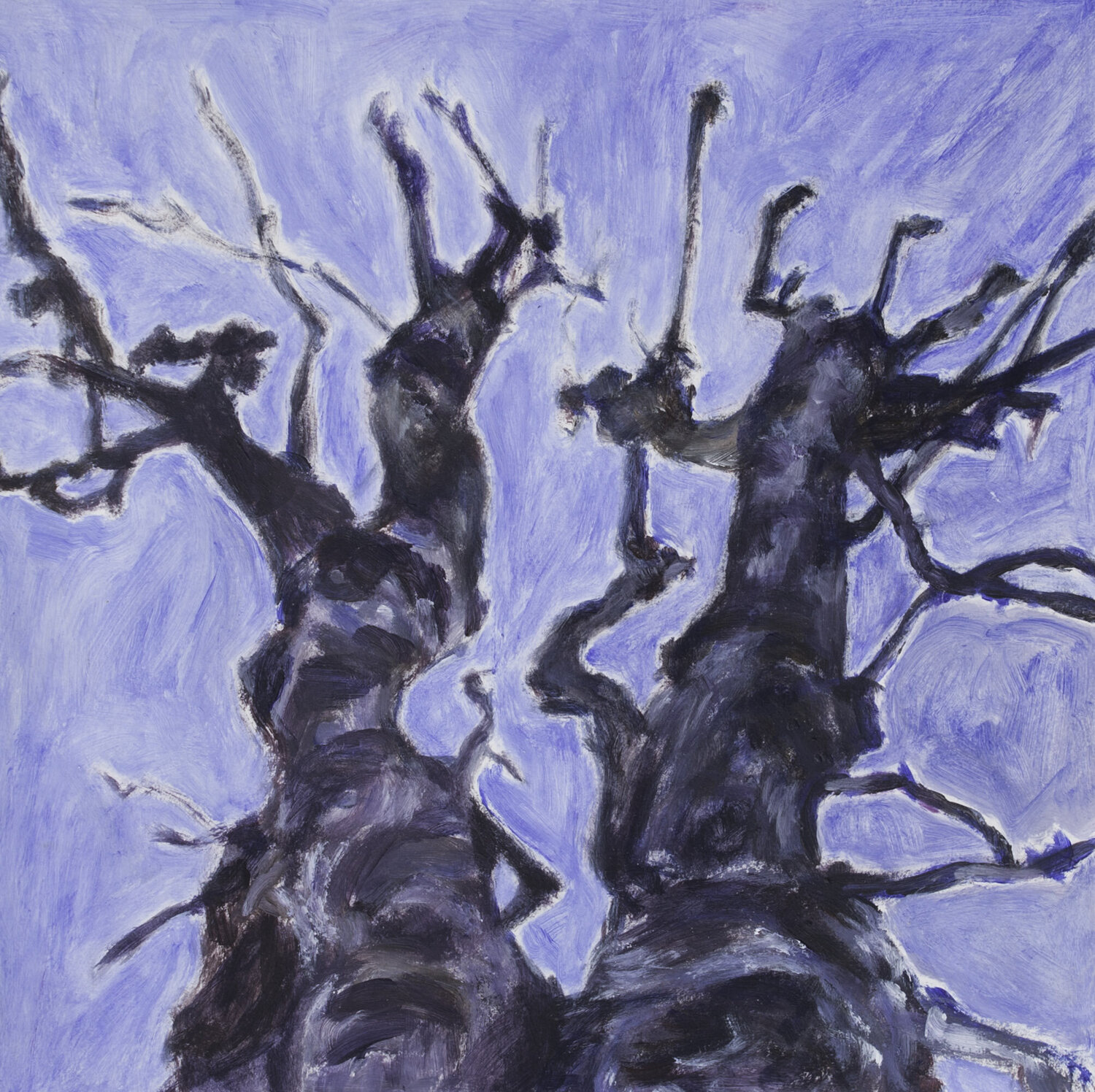 On St Aubyns Street Karina Brzostowski