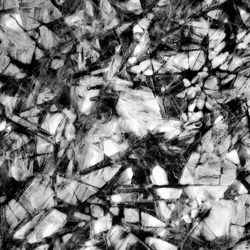 Hidden eyes by Trond Are Berge, Photography for Sale on Singulart