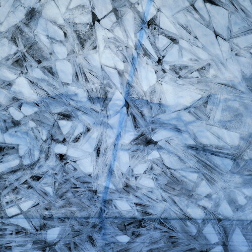 Fragments of Nature Trond Are Berge