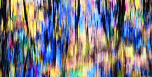 Our Inner Needs Color van Trond Are Berge, Fotografie te koop op Singulart