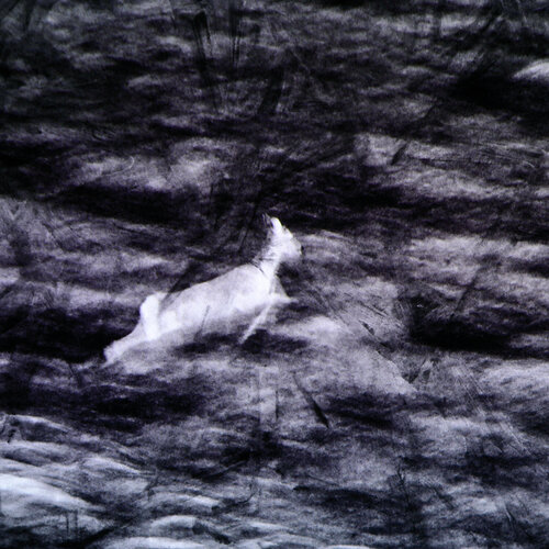 Fleeing in my dream van Trond Are Berge, Fotografie te koop op Singulart