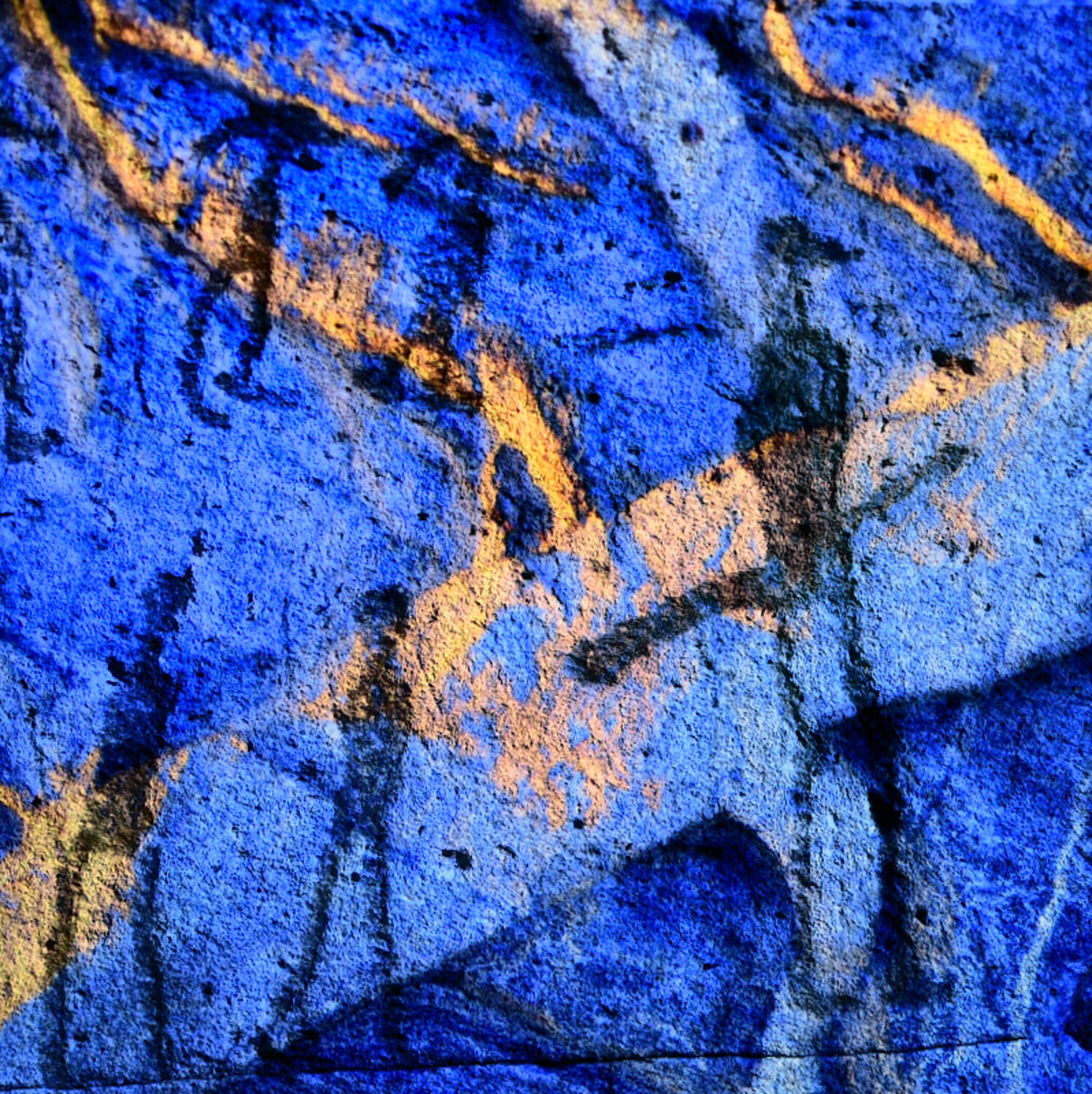 Evening Migration Trond Are Berge