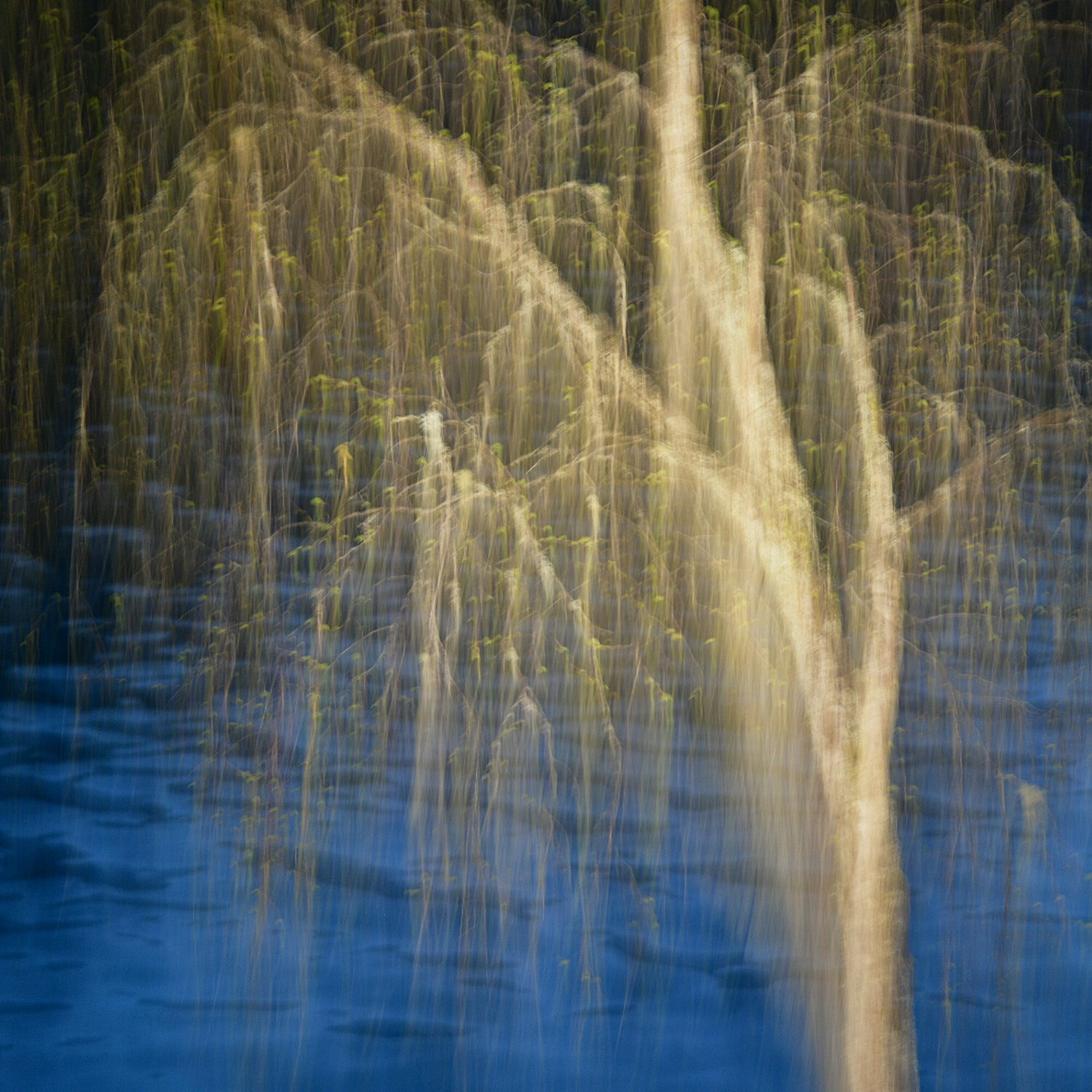Give me Water and I give Life Trond Are Berge Fotografie zu verkaufen