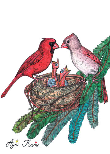 Cute birds #4 von OLEKSANDRA PETROVSKA, Zeichnungen kaufen auf Singulart