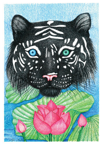 Black Tiger von OLEKSANDRA PETROVSKA, Zeichnungen kaufen auf Singulart