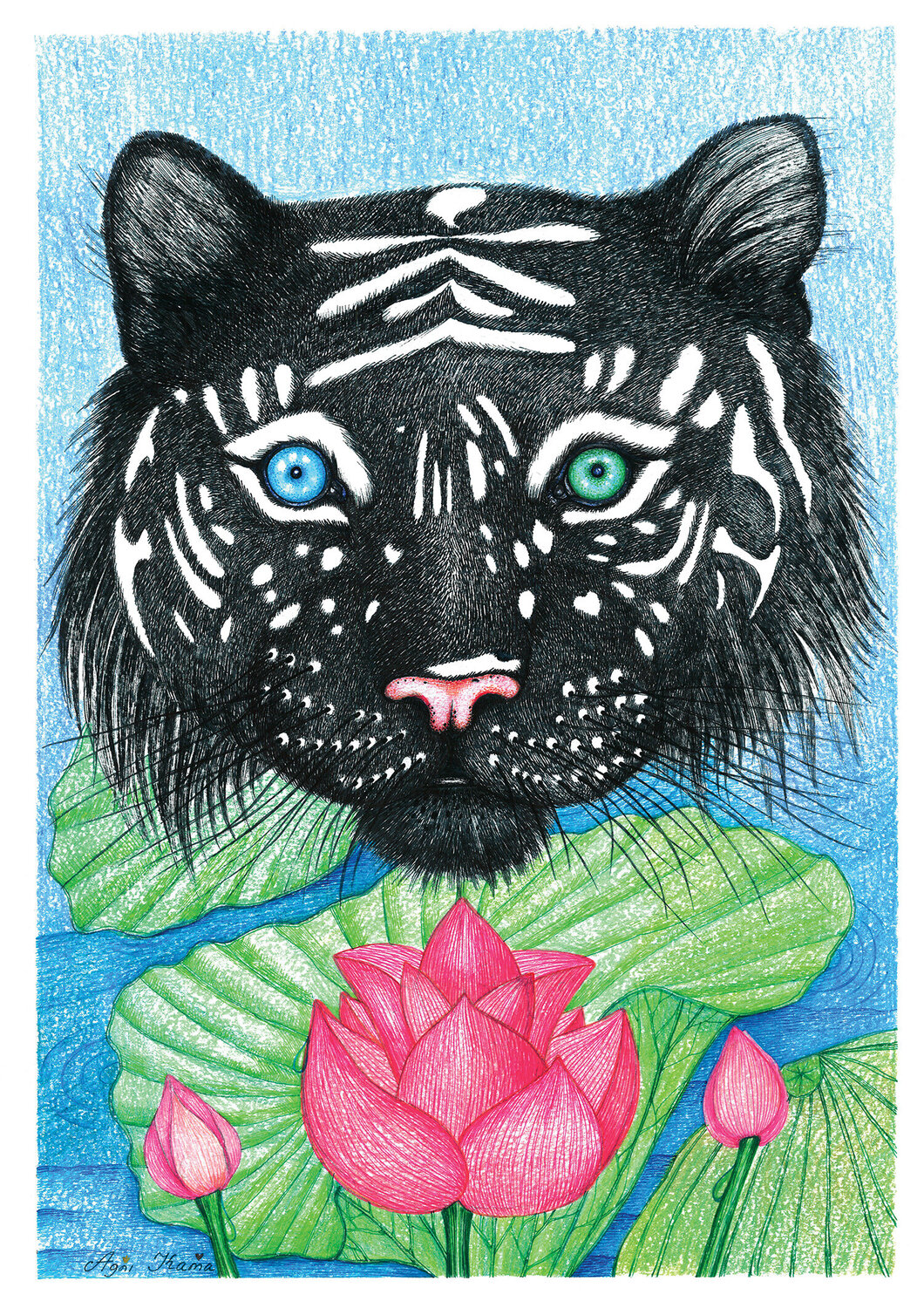Black Tiger OLEKSANDRA PETROVSKA