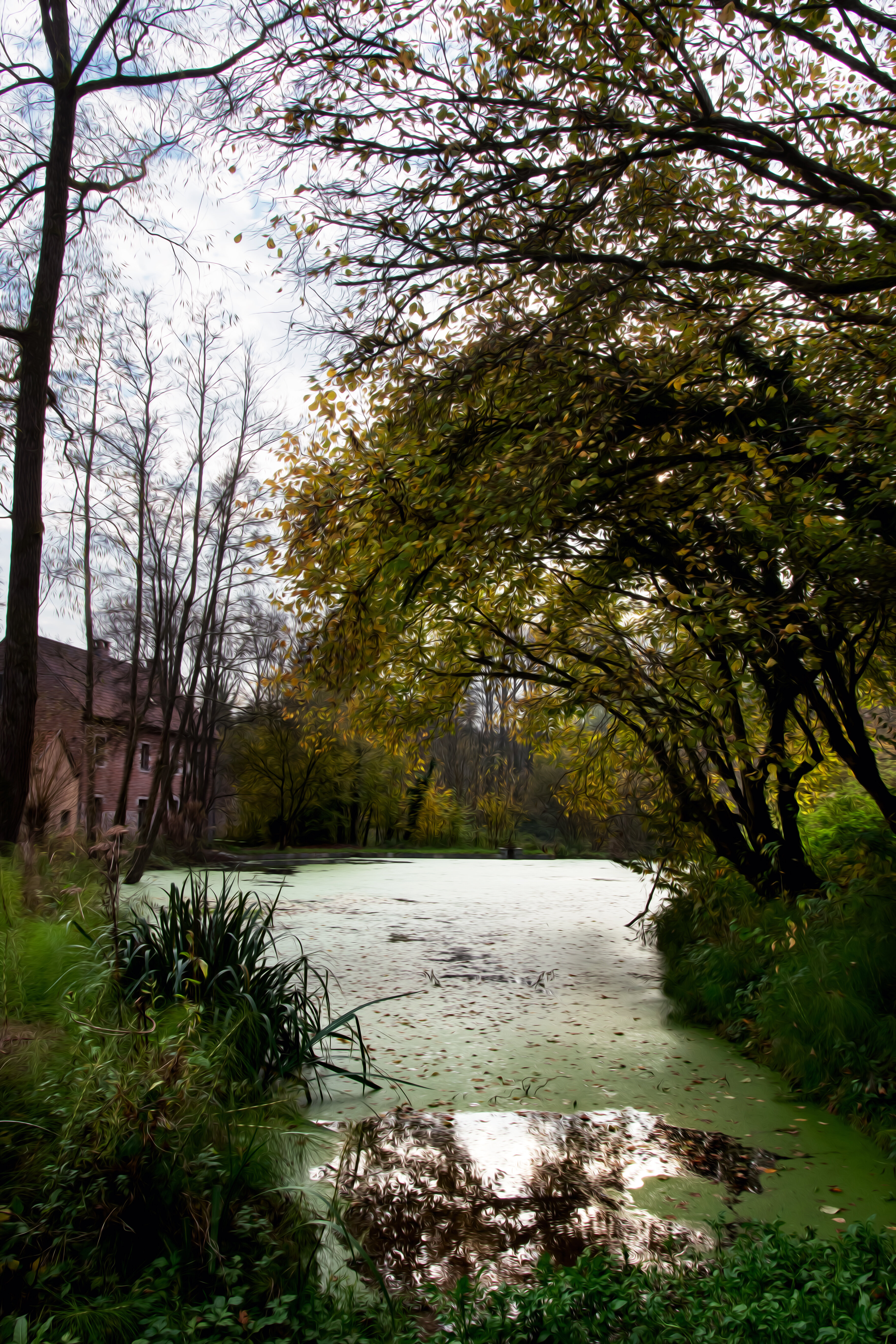 LE BOIS DE SAINT DENIS EN AUTOMNE 002