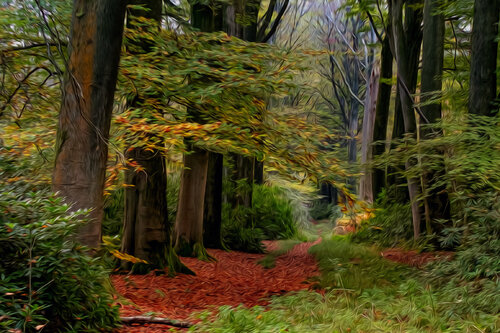 LE BOIS DE BAUDOUR EN AUTOMNE 007 by JEAN-LUC WASMES, Photography for Sale on Singulart
