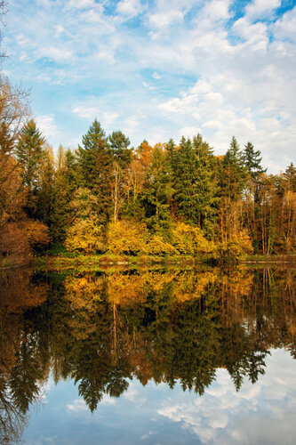 LE BOIS DE SAINT DENIS EN AUTOMNE 018 di JEAN-LUC WASMES, Fotografia in vendita su Singulart