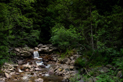 VAL DI SCALVE  JUIL 24 006 von JEAN-LUC WASMES, Fotografie kaufen auf Singulart