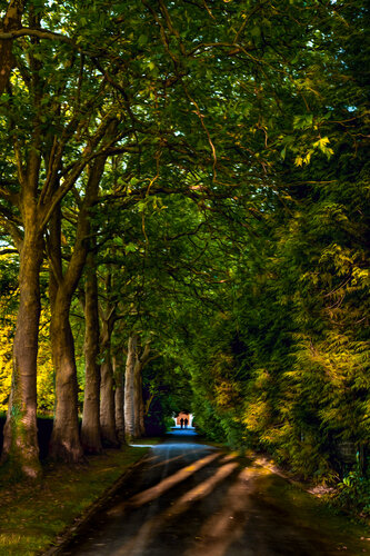 LA QUÊTE DE LA LUMIERE by JEAN-LUC WASMES, Photography for Sale on Singulart