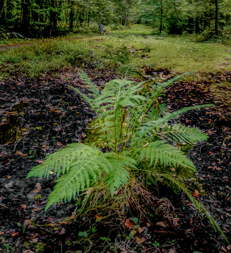 L'ECLAT DU SPLEEN by JEAN-LUC WASMES, Photography for Sale on Singulart