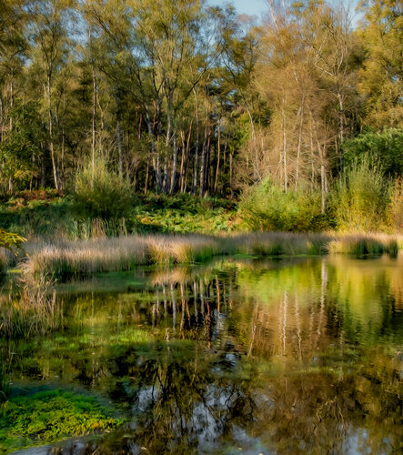 MIROIR AU PAYS DES MERVEILLES von JEAN-LUC WASMES, Fotografie kaufen auf Singulart
