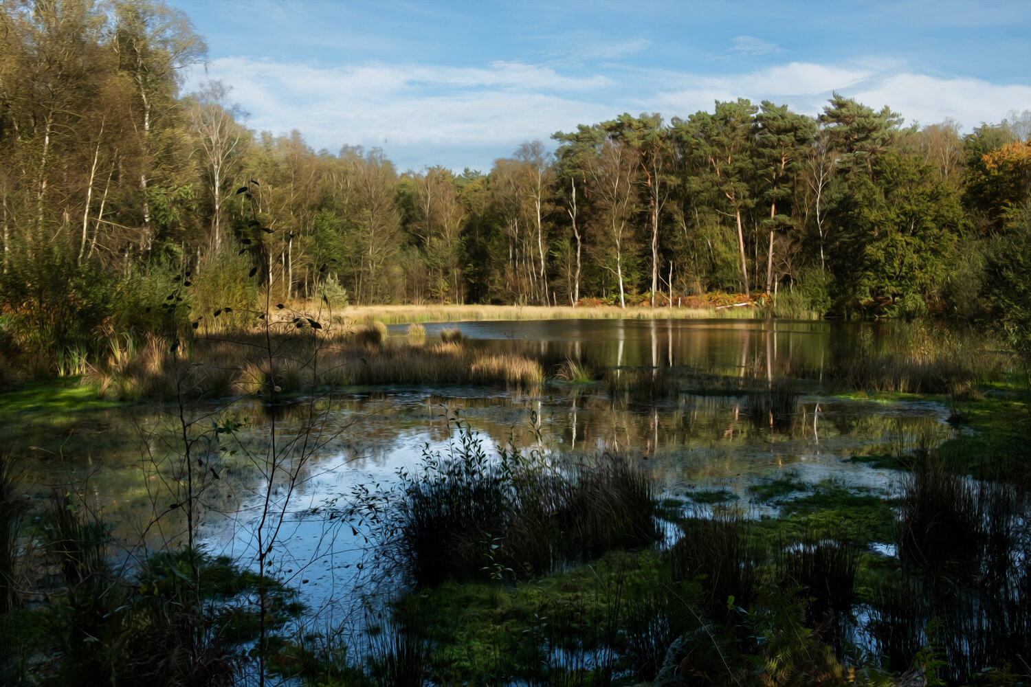 LE BOIS DE BAUDOUR EN AUTOMNE 002 JEAN-LUC WASMES Fotografie zu verkaufen