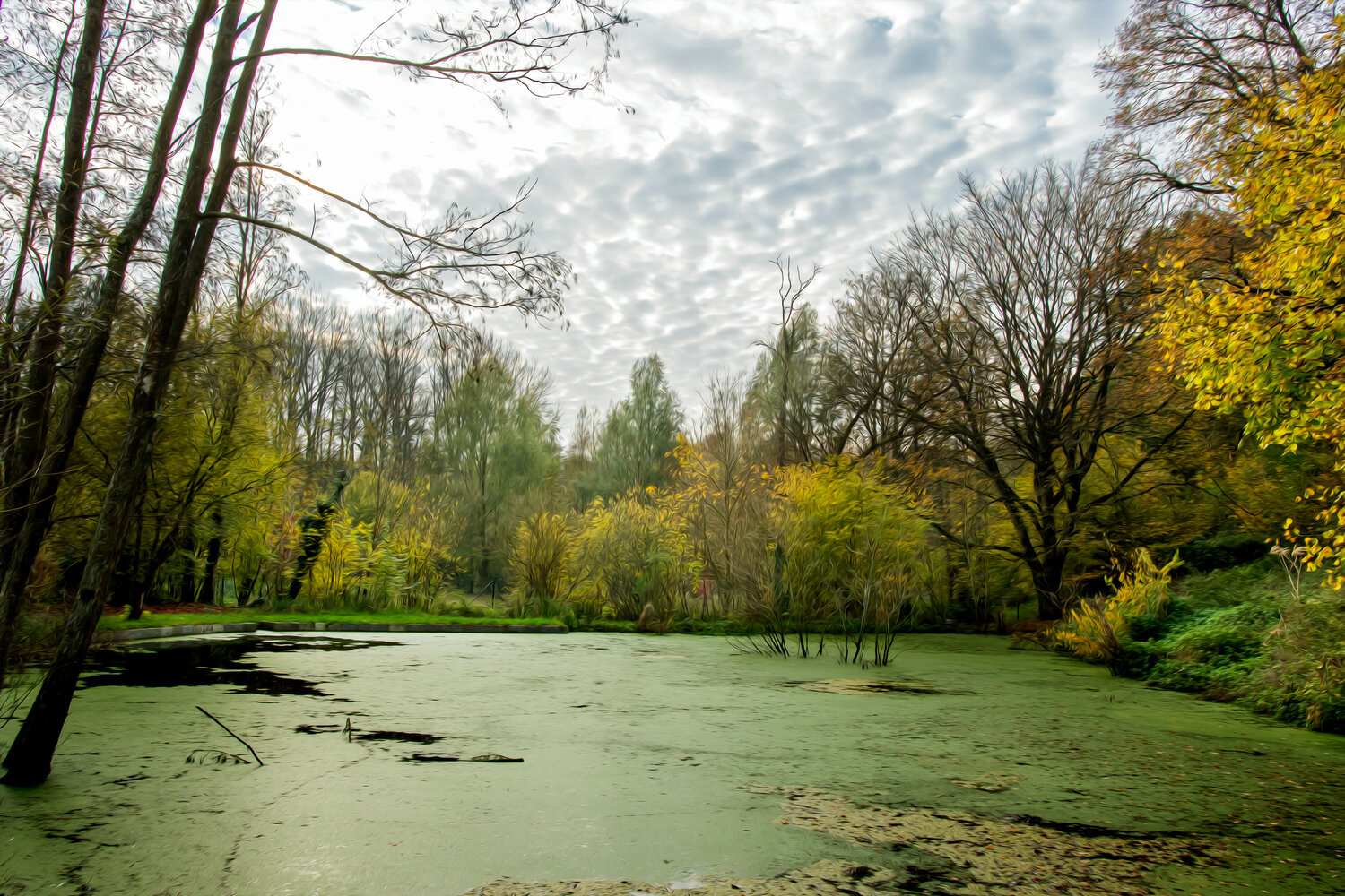 LE BOIS DE SAINT DENIS EN AUTOMNE 001 JEAN-LUC WASMES Fotografie zu verkaufen