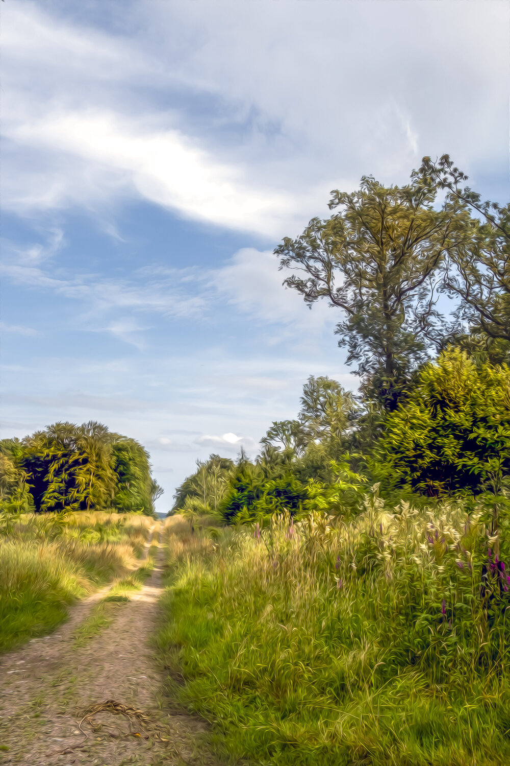 L'ALCHIMIE DU CHEMIN JEAN-LUC WASMES Fotografie zu verkaufen