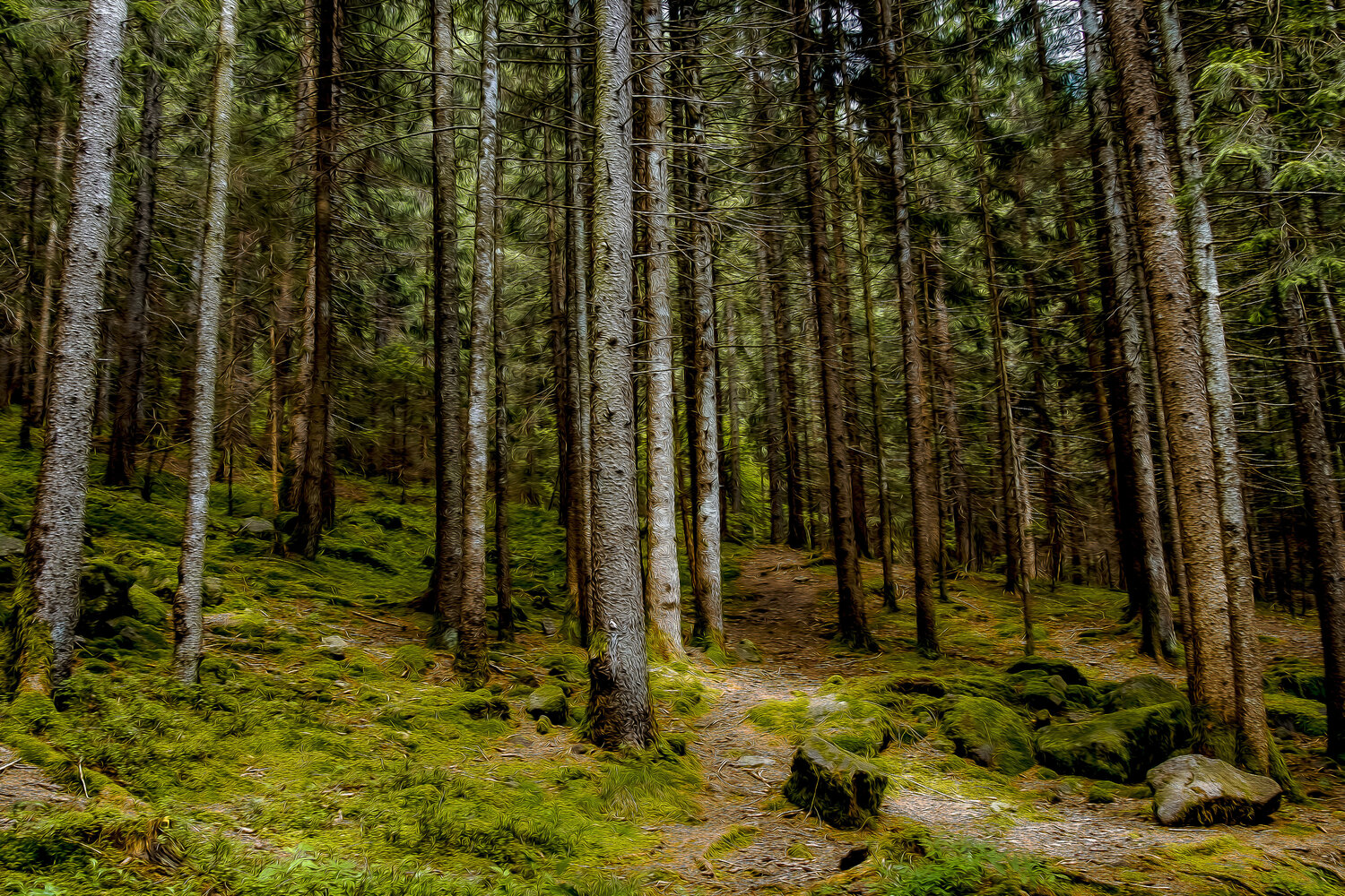 L'OMBRE DU CONTE JEAN-LUC WASMES Fotografie zu verkaufen