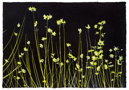 Air - Study in Yellow by Evi Schartner, Painting for Sale on Singulart