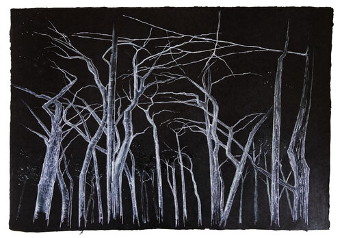 Where Silence Grows by Evi Schartner, Painting for Sale on Singulart