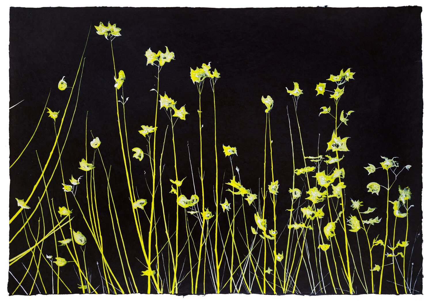 Air - Study in Yellow Evi Schartner
