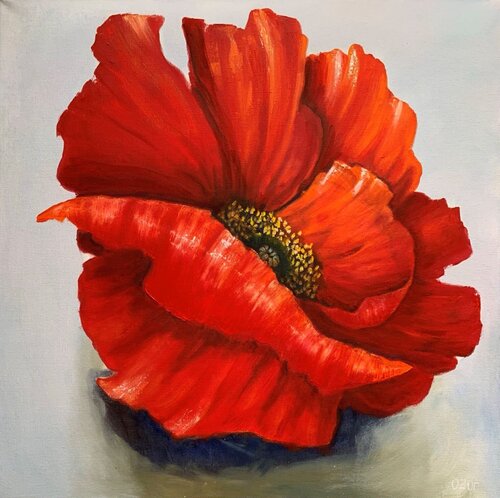 Red Poppy van Olga Ben Zur, Schilderij te koop op Singulart