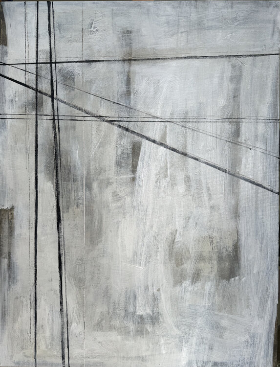 Geometric Echo Anastasiia Krykun