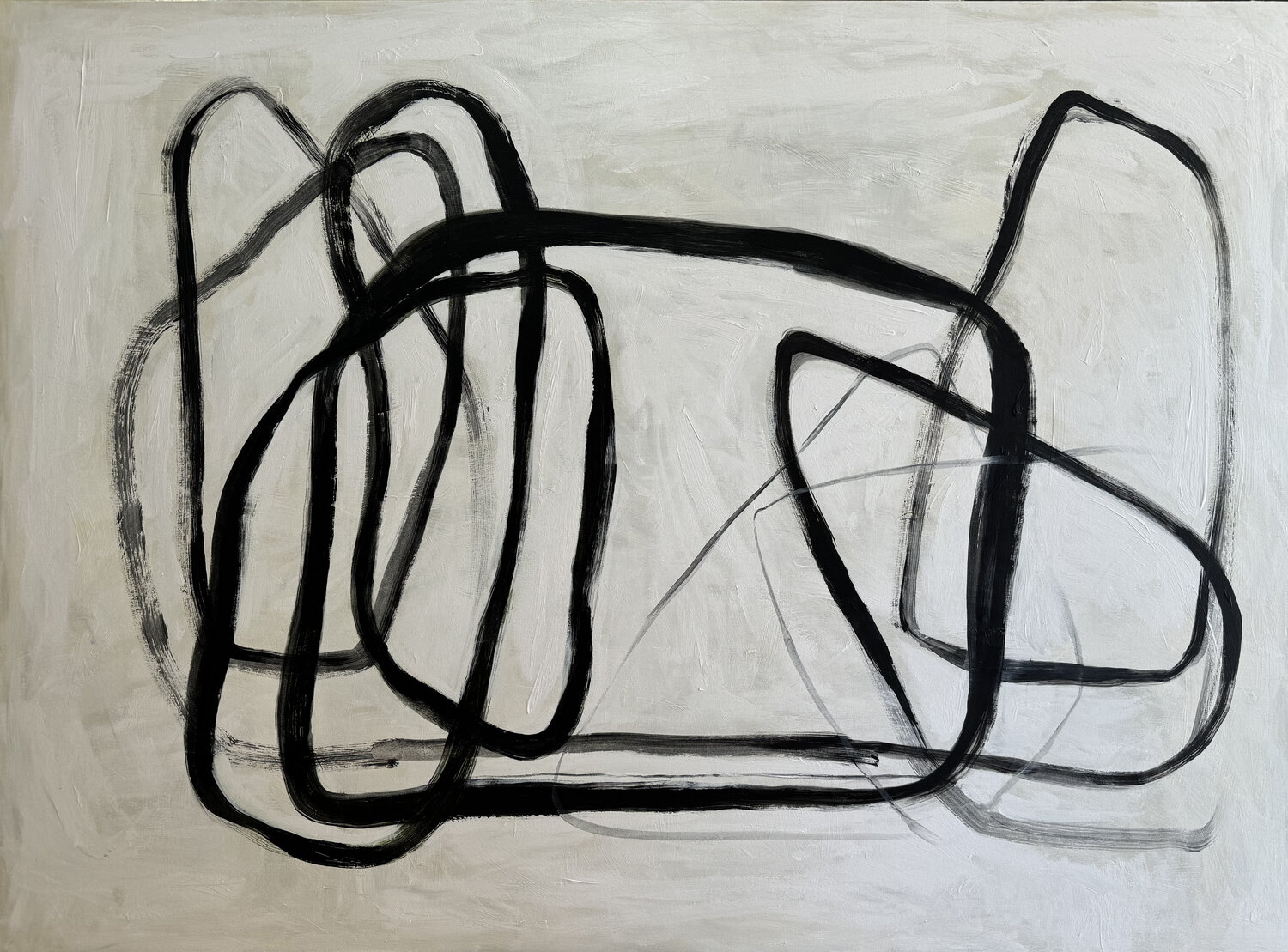 Fluid Motion Anastasiia Krykun